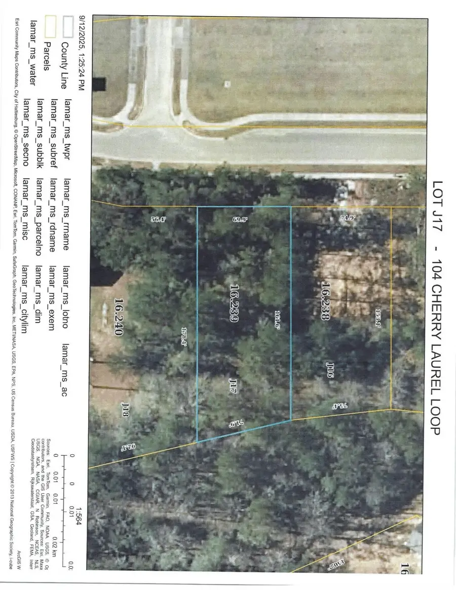 104 Cherry Laurel Loop, Hattiesburg, MS 39402 - Image #2