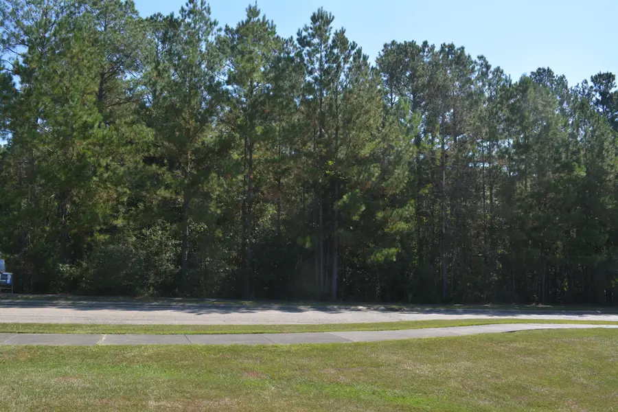 104 Cherry Laurel Loop, Hattiesburg, MS 39402 - Image #3