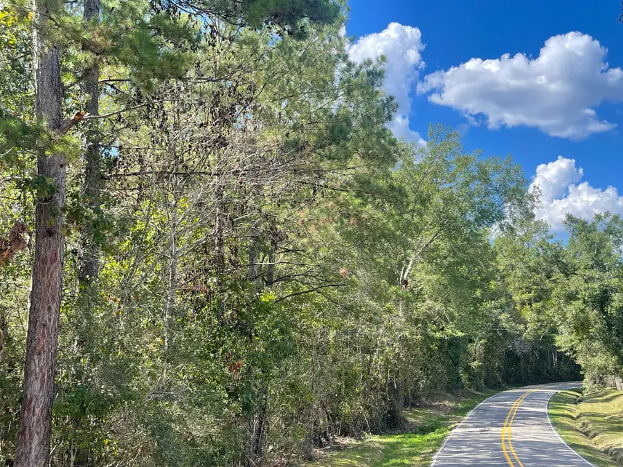 0 Rawl Spring Loop Rd., Hattiesburg, MS 39402 - Image #2