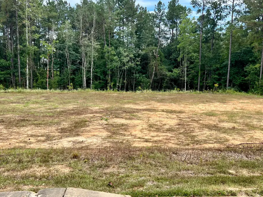 87 Bellegrass, Hattiesburg, MS 39402 - Image #3