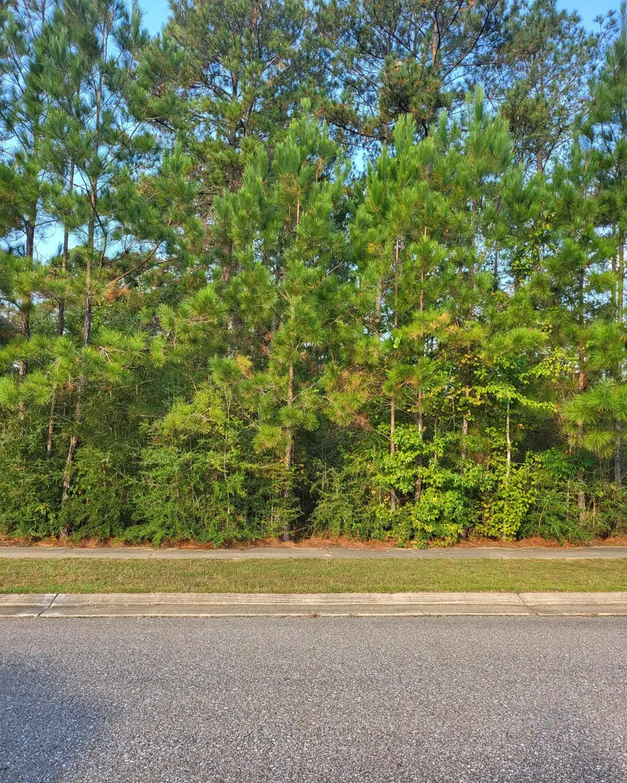 LOT J26/ 68 Cherry Laurel Loop, Hattiesburg, MS 39402 - Image #3