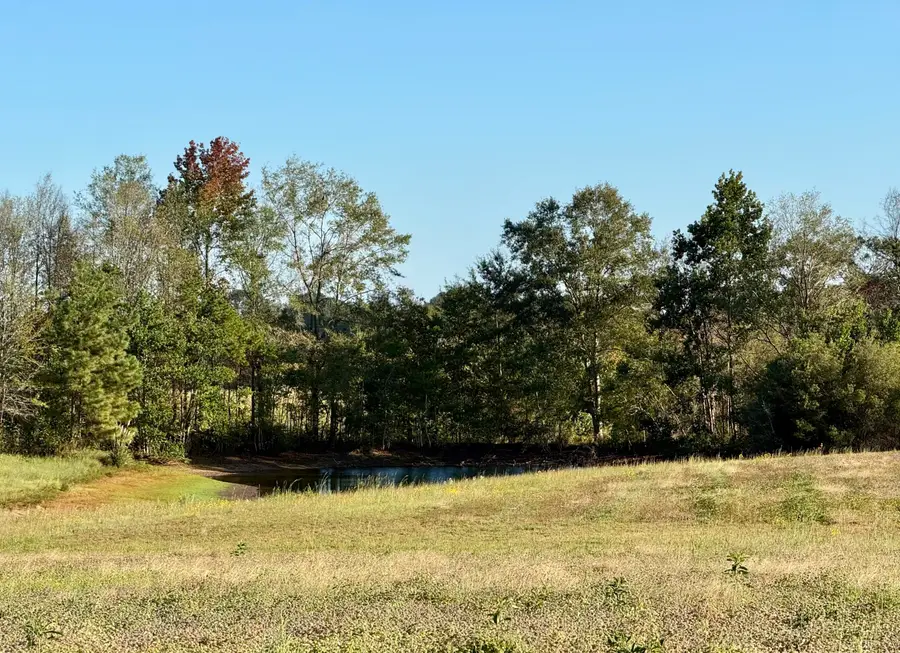 - Dexter Rd, Tylertown, MS 39667 - #3