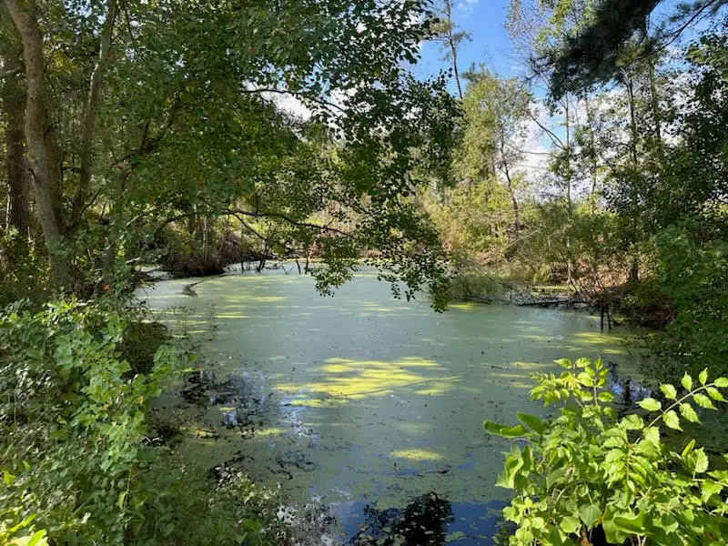 32 Acres +/- Garner Rd., Mount Olive, MS 39119 - Image #1