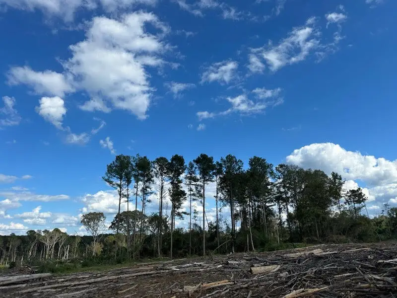 32 Acres +/- Garner Rd., Mount Olive, MS 39119 - Image #3