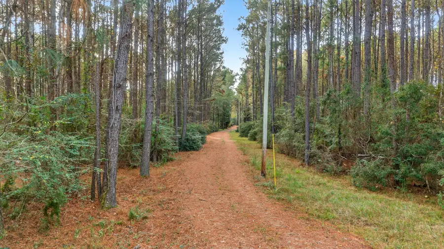 217 Pine Grove Rd, Picayune, MS 39466 - #3