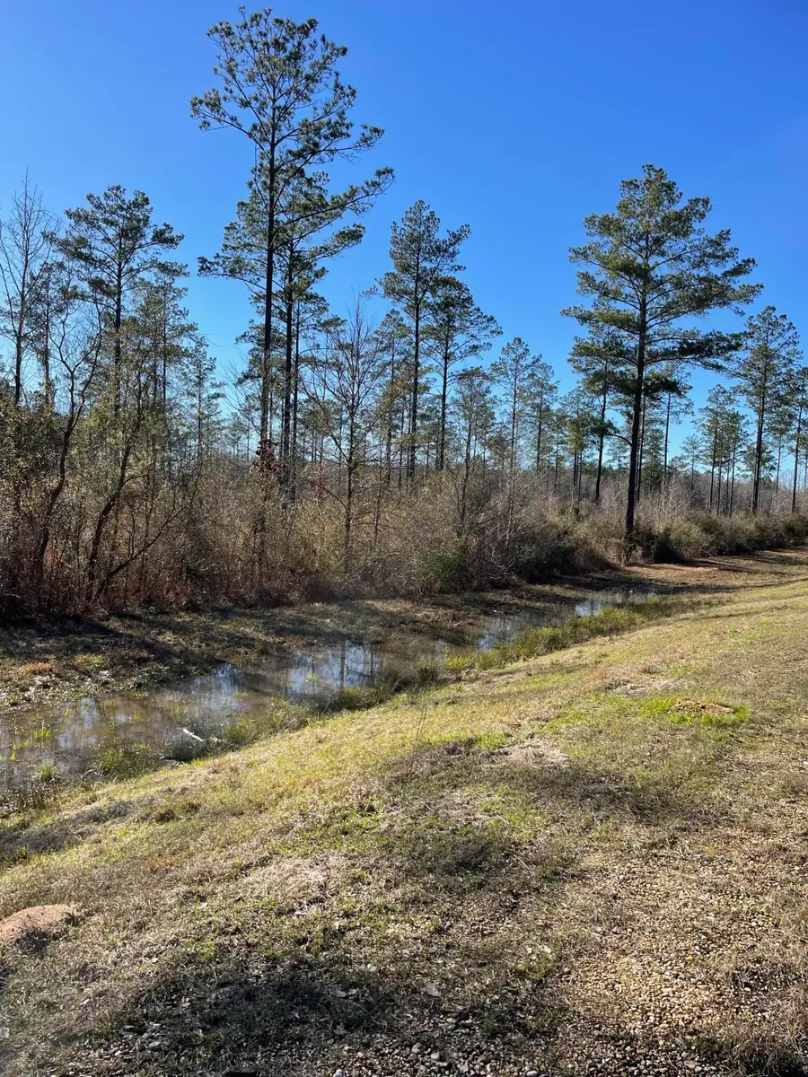 Lot 5 Ms-44, Columbia, MS 39429 - Image #2