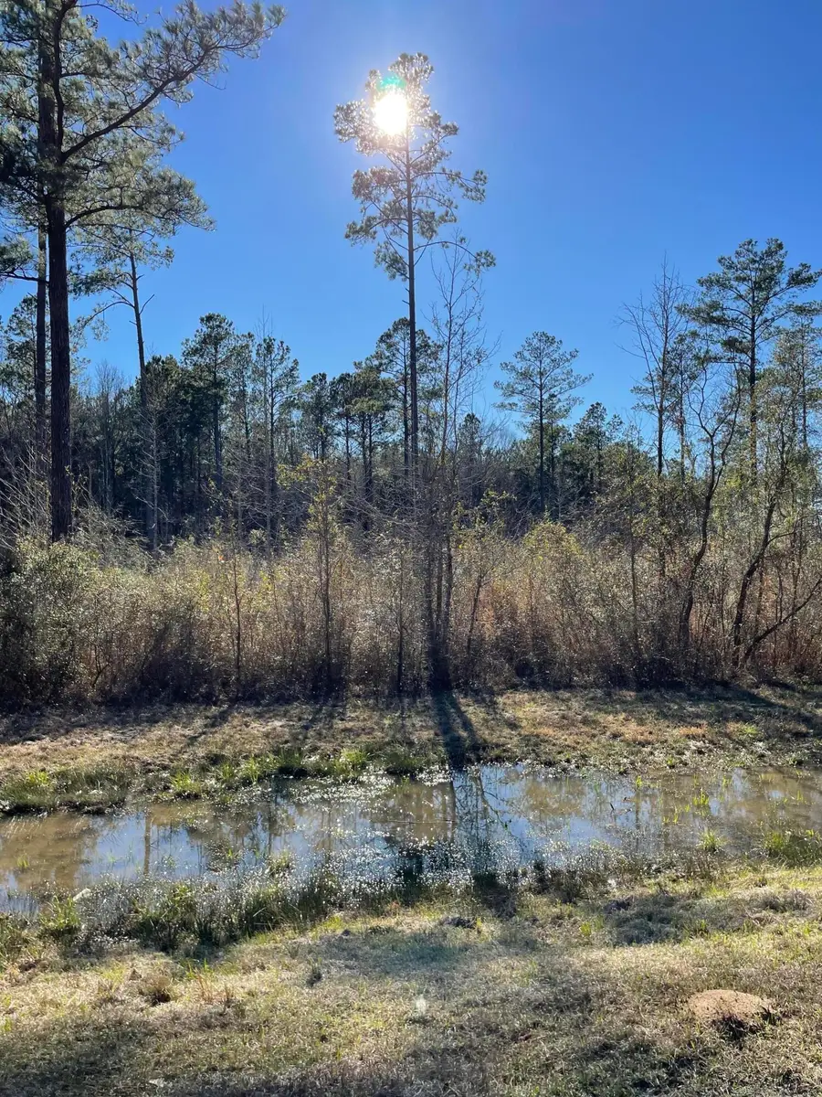 Lot 5 Ms-44, Columbia, MS 39429 - Image #3