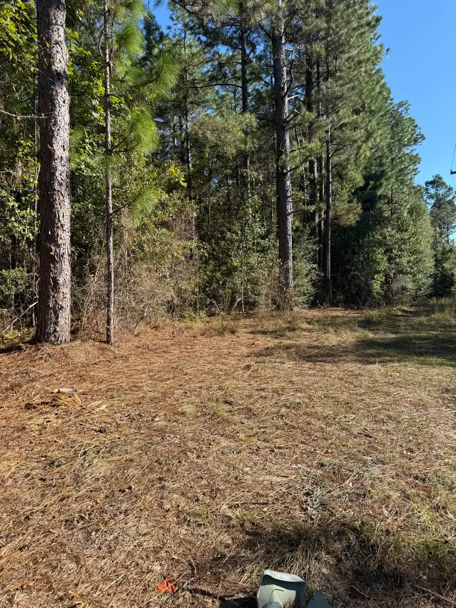 00 Carter Cir., Hattiesburg, MS 39402 - Image #2