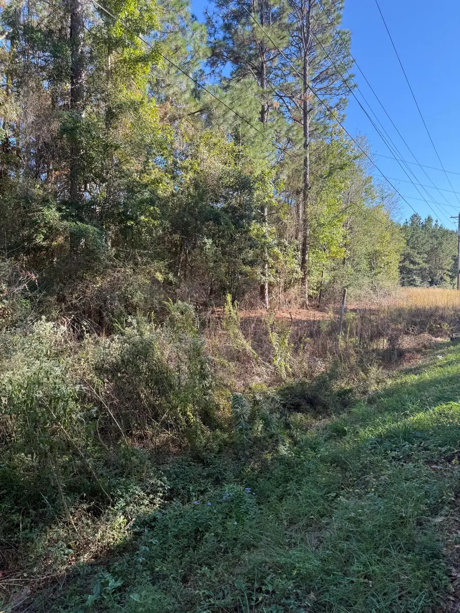 00 Carter Cir., Hattiesburg, MS 39402 - Image #3