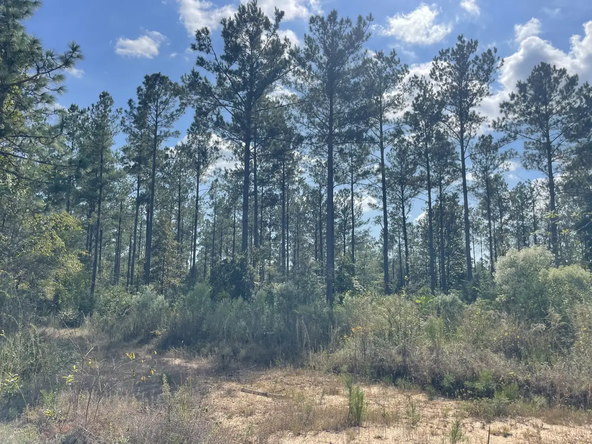 TBD Holly Springs Rd, Foxworth, MS 39483 - Image #1