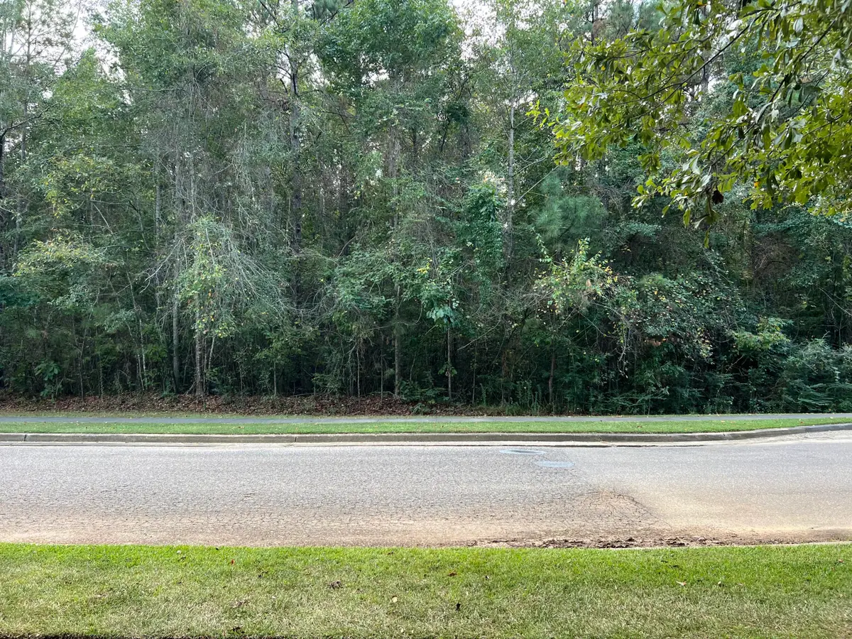 175 Bellegrass (lot H-9) Blvd., Hattiesburg, MS 39402 - Image #1