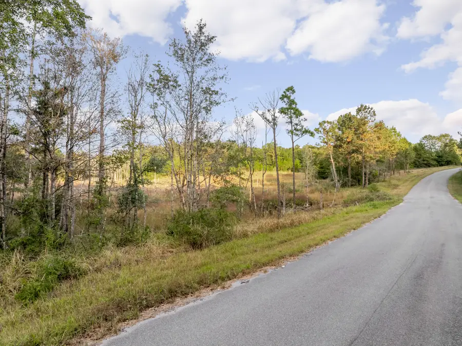 10.4 Mol Ac Pete Miles Rd., Lucedale, MS 39452 - Image #3