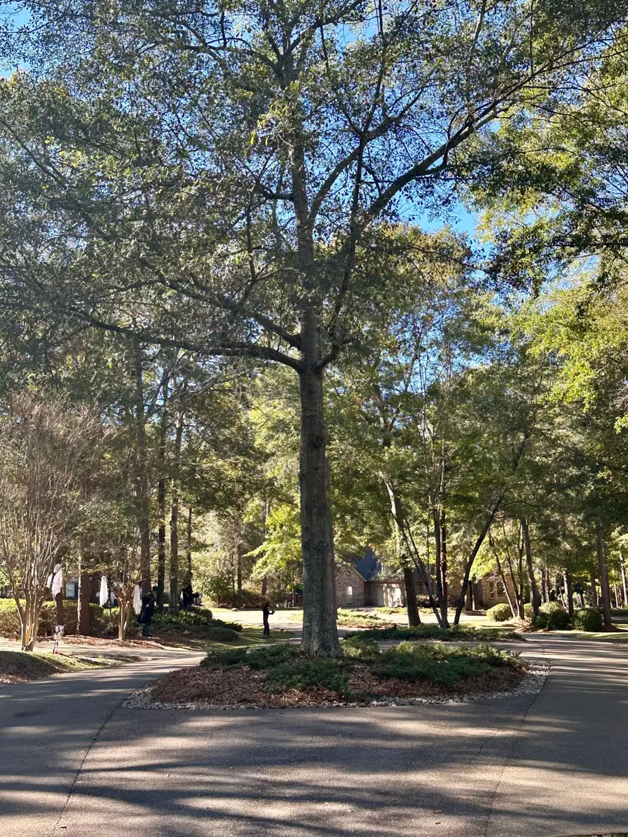 0A Buck Ct., Hattiesburg, MS 39402 - Image #3