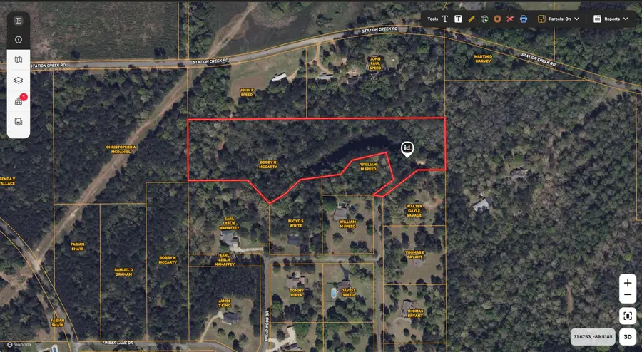 8.2 Ac MOL Timber Ln Dr., Collins, MS 39428 - Image #2