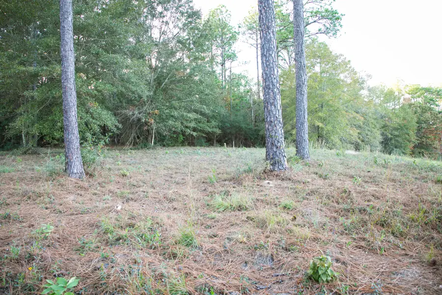 9 ac Lincoln Rd Ext., Hattiesburg, MS 39402 - Image #3