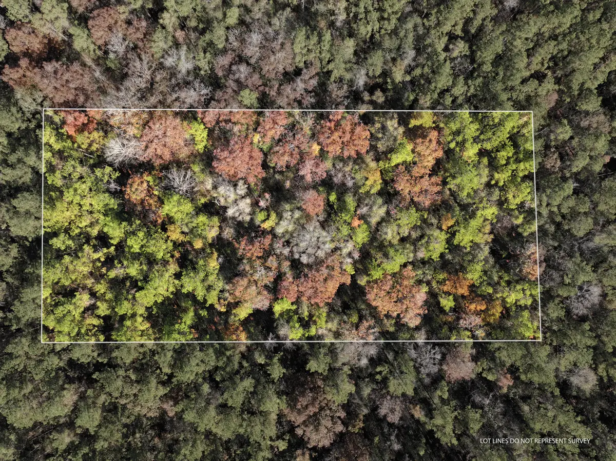 1.08 Mol Ac Old Hwy 24 Parcel 27, Mc Lain, MS 39456 - #1