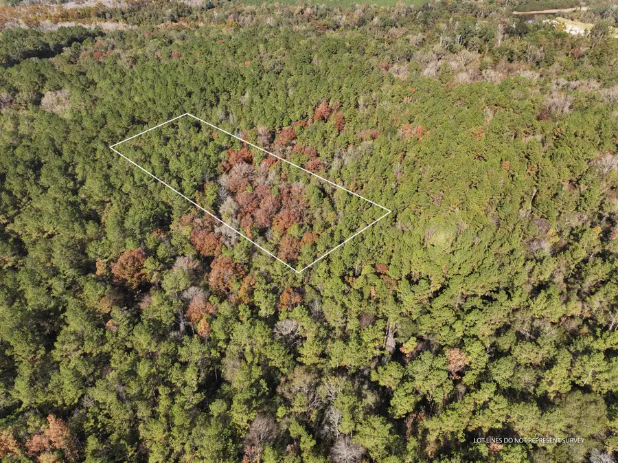 1.08 Mol Ac Old Hwy 24 Parcel 27, Mc Lain, MS 39456 - #2