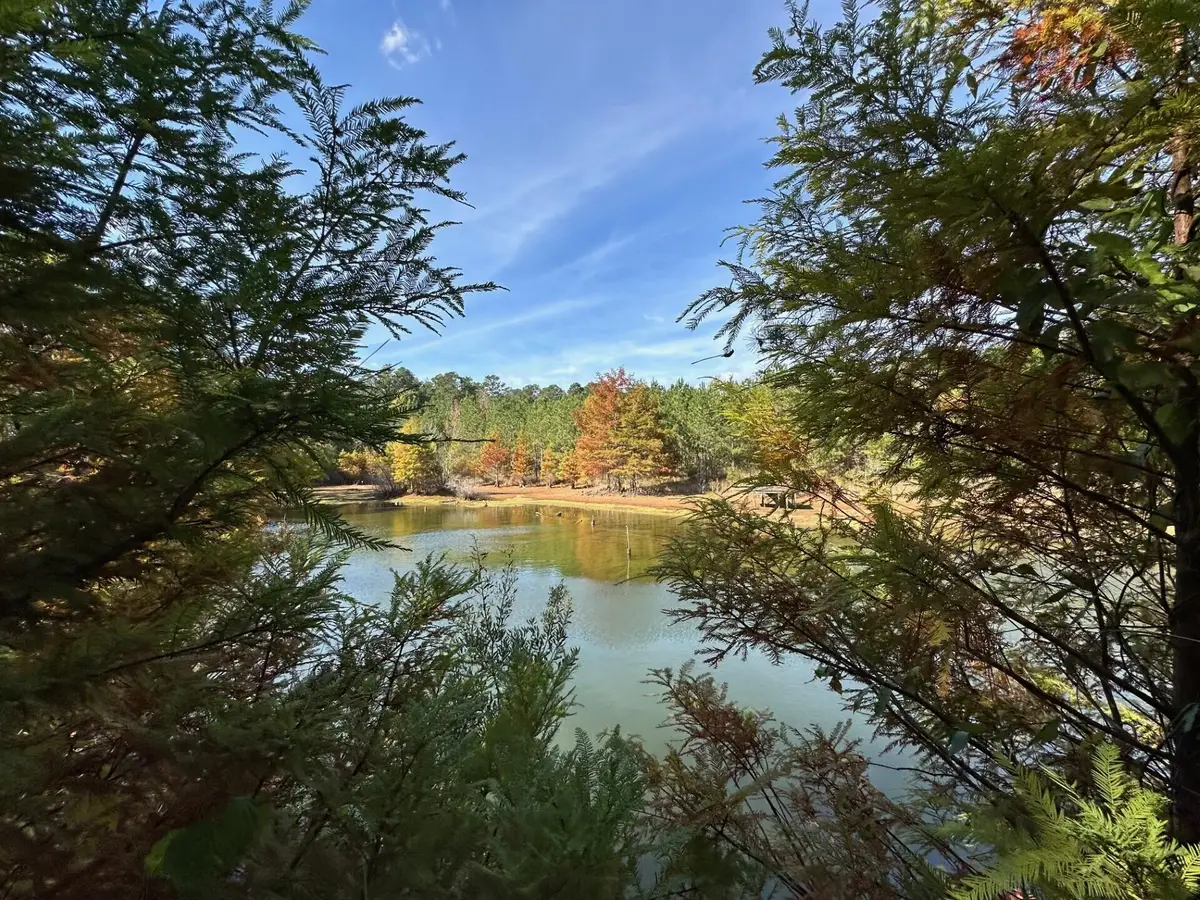 0 Decatur Conehatta Rd., Decatur, MS 39327 - #1