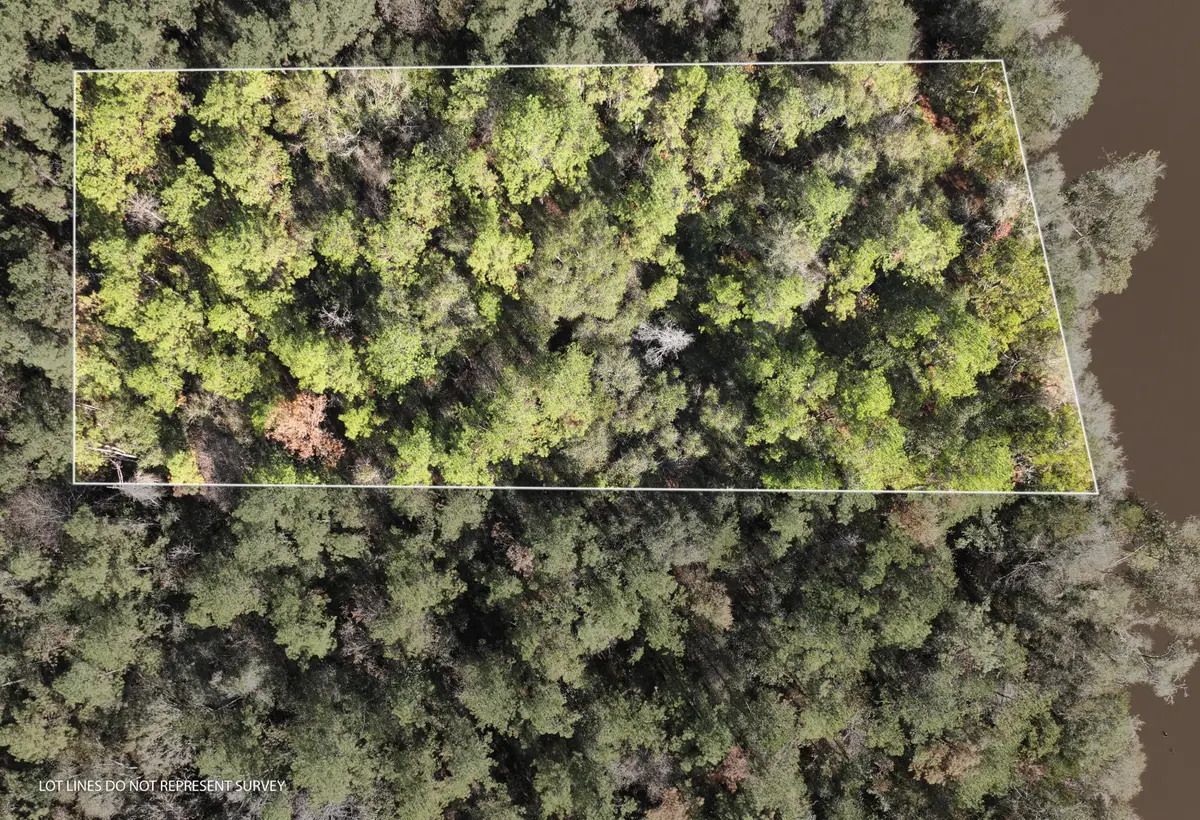 1.08 Mol Ac Old Hwy 24 Parcel 29, Mc Lain, MS 39456 - #1