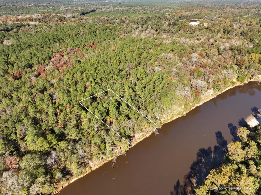 1.08 Mol Ac Old Hwy 24 Parcel 29, Mc Lain, MS 39456 - #2