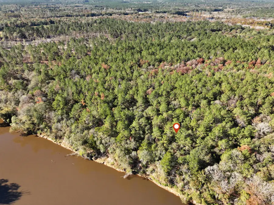 1.08 Mol Ac Old Hwy 24 Parcel 29, Mc Lain, MS 39456 - #3