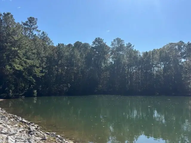 Lot #19 West Bay Drive, Lumberton, MS 39455 - Image #2