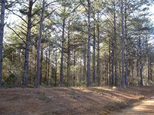 Lot 3 Parkview Drive, Ellisville, MS 39437