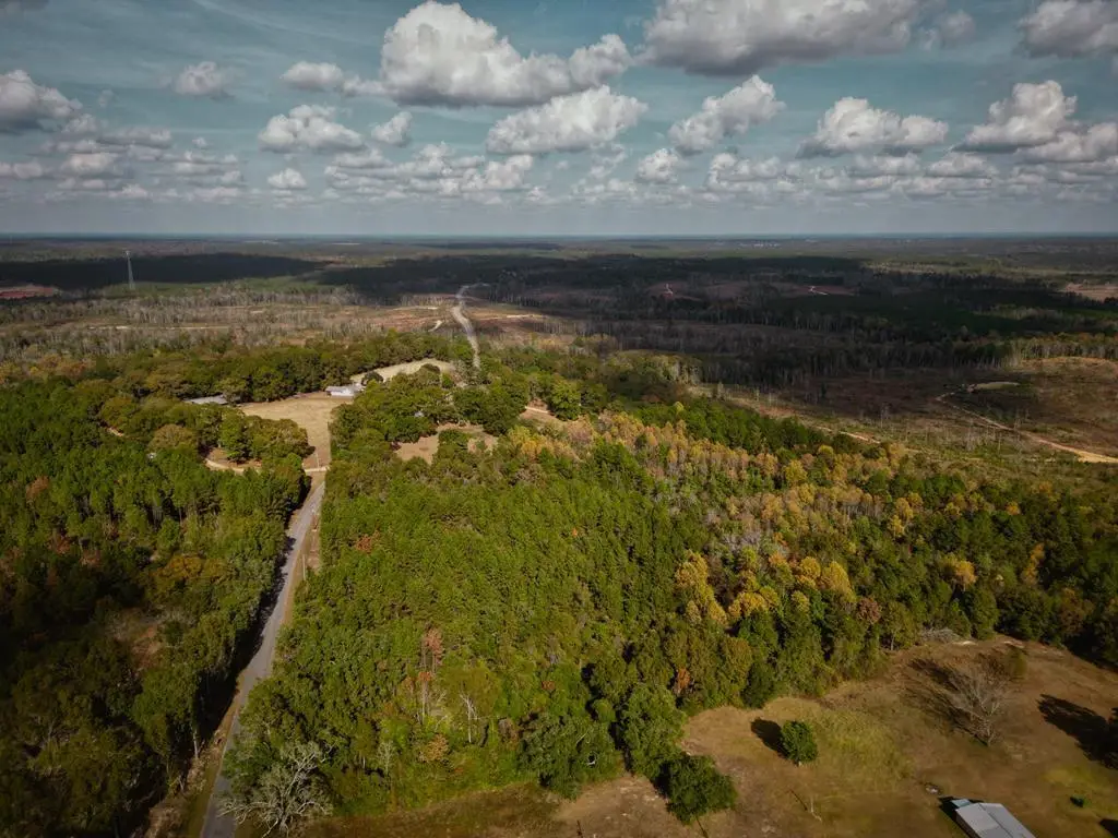 7.32+/- AC Oscar Lee Rd., Poplarville, MS 39470 - #1