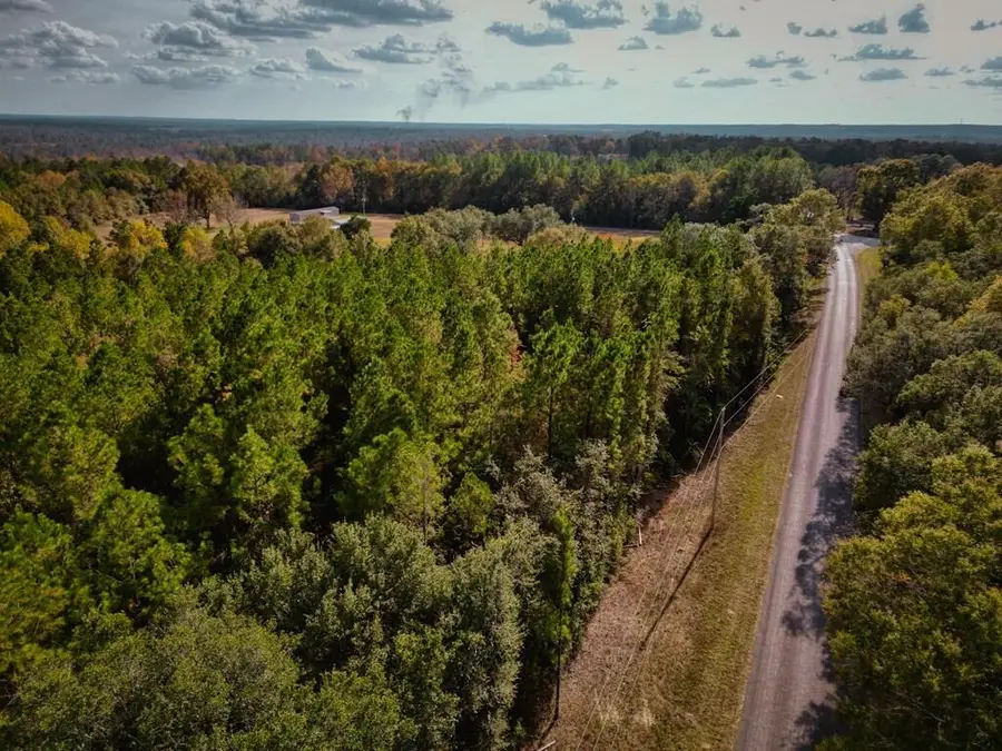 7.32+/- AC Oscar Lee Rd., Poplarville, MS 39470 - #2