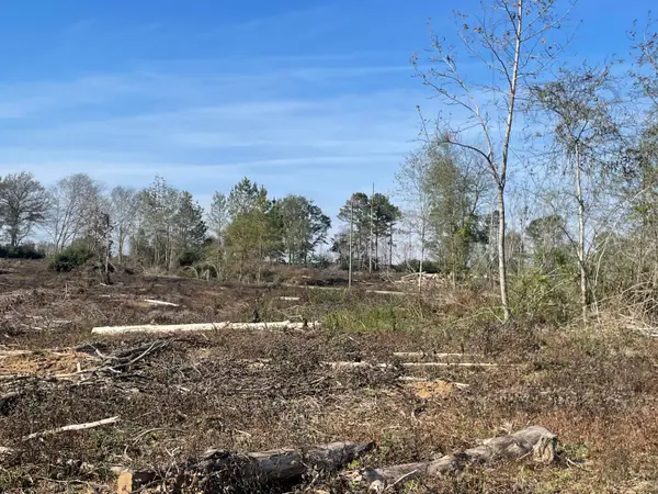 Lot 2 Sinclair Rd, Columbia, MS 39429
