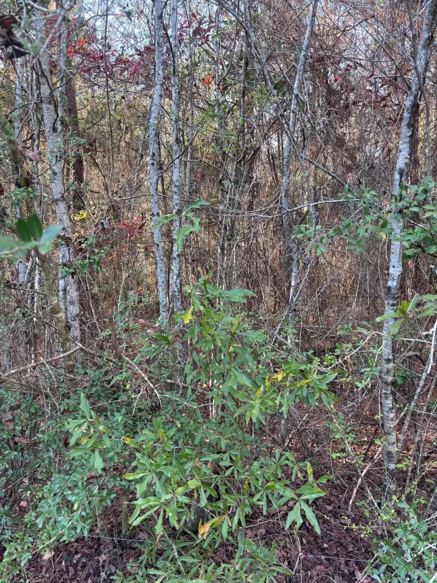 00 Williams Cutoff, Sumrall, MS 39482 - Image #2