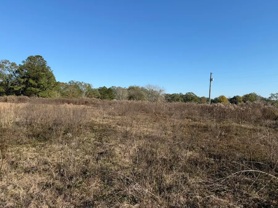 1.52 Acre Crenshaw Rd., Lucedale, MS 39452 - #2