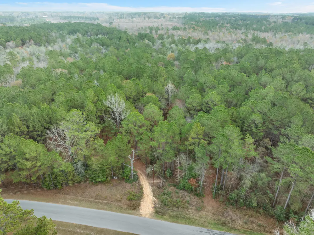 83.50 Acre Guthrie Carter Rd., Moselle, MS 39459 - #1