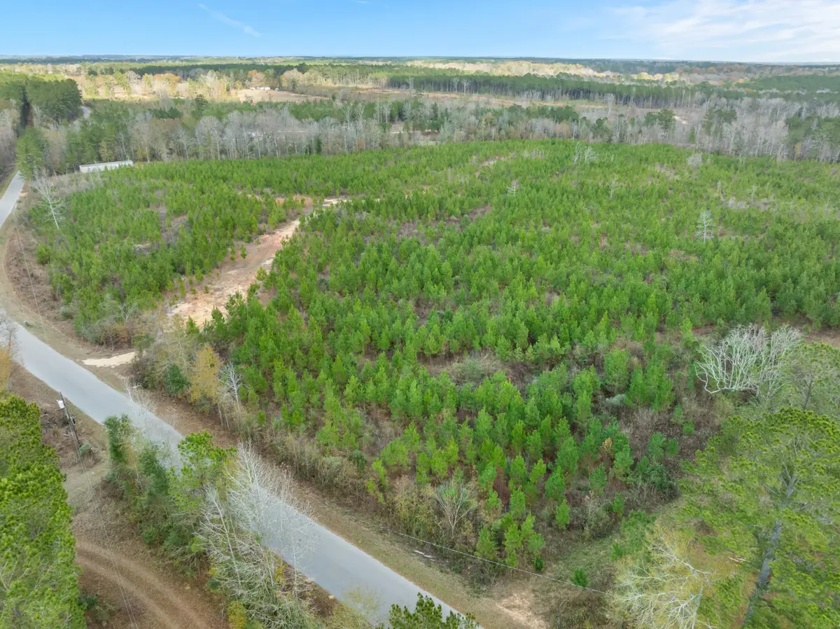 84.5 Acre Guthrie Carter Rd., Moselle, MS 39459 - #1