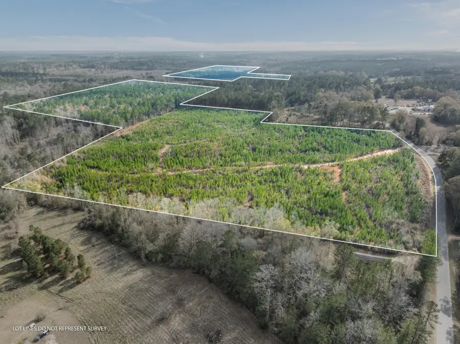 84.5 Acre Guthrie Carter Rd., Moselle, MS 39459 - #3