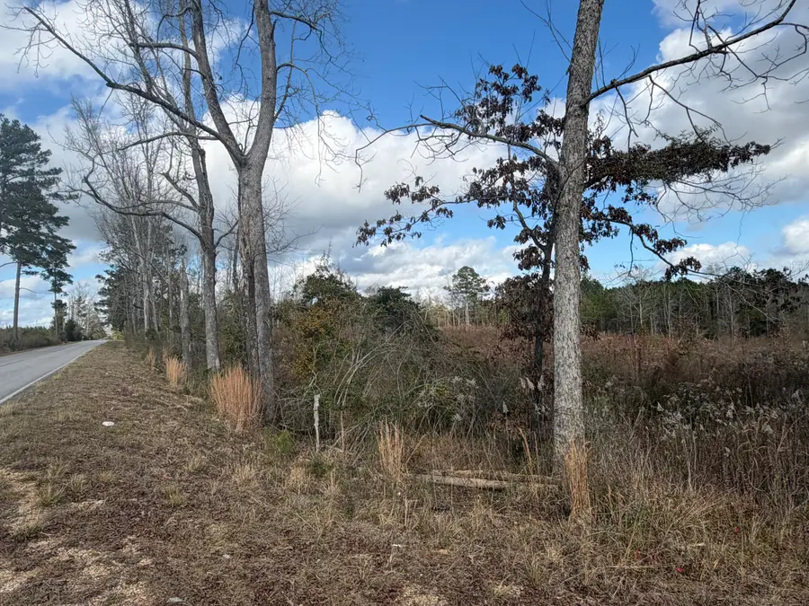 0 Clem Rd., Prentiss, MS 39474 - #2