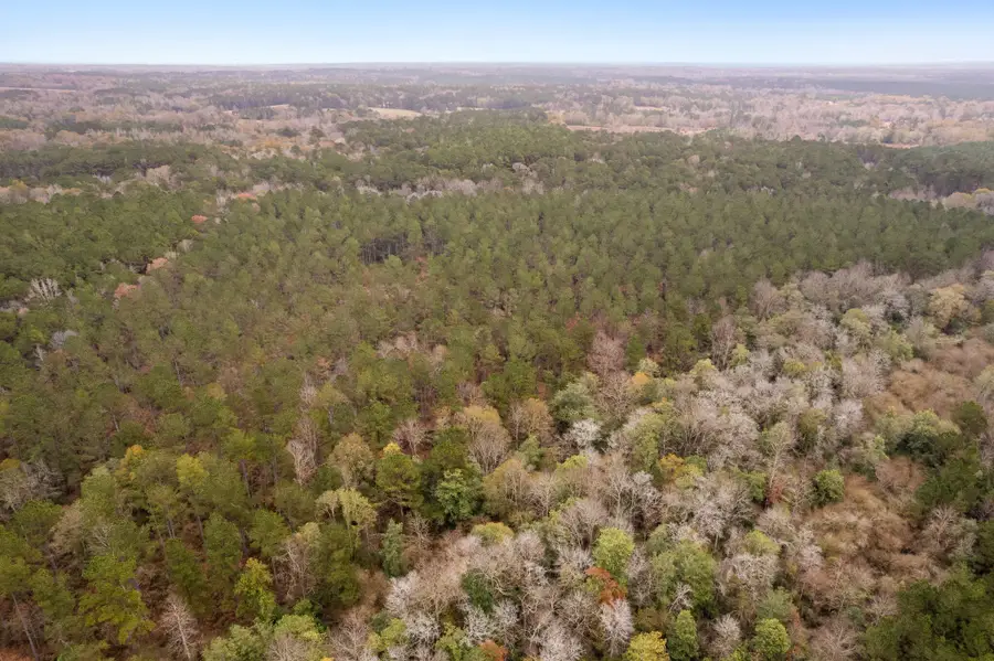 0 Hwy 44, Sumrall, MS 39482 - Image #3