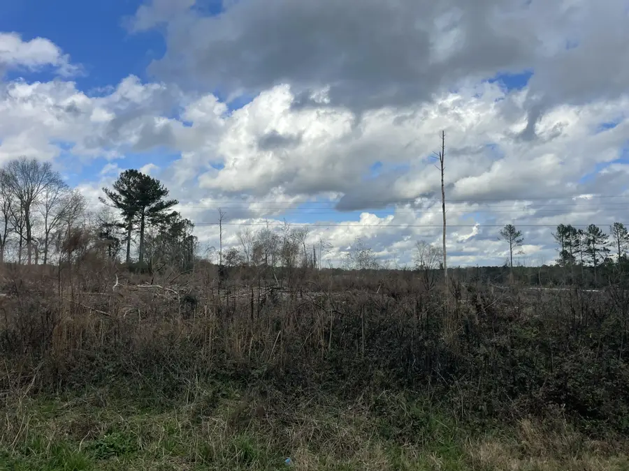 Lot 5 Sinclair Rd, Columbia, MS 39429 - Image #2