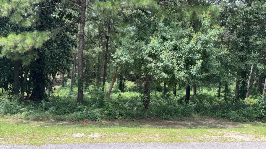 0 Summer Place, Hattiesburg, MS 39402 - Image #3