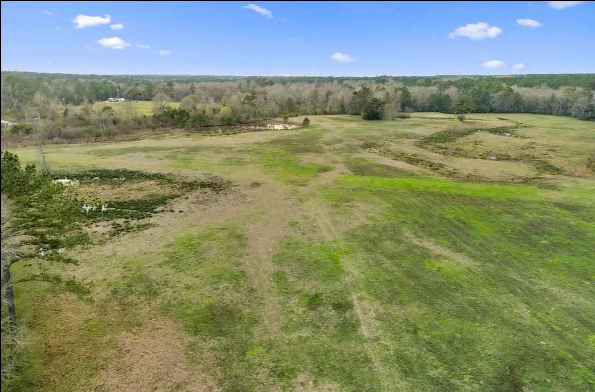 Lot 9 5.0 Acres Fire Tower Rd., Columbia, MS 39429 - Image #1