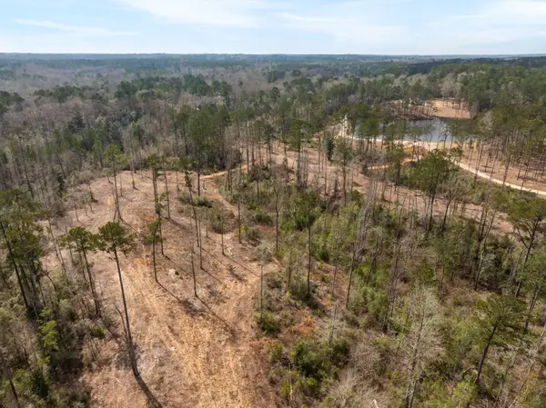 36.08 +/- Acres Placid Dr., Sumrall, MS 39482