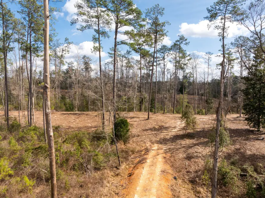 36.08 +/- Acres Placid Dr., Sumrall, MS 39482 - #3