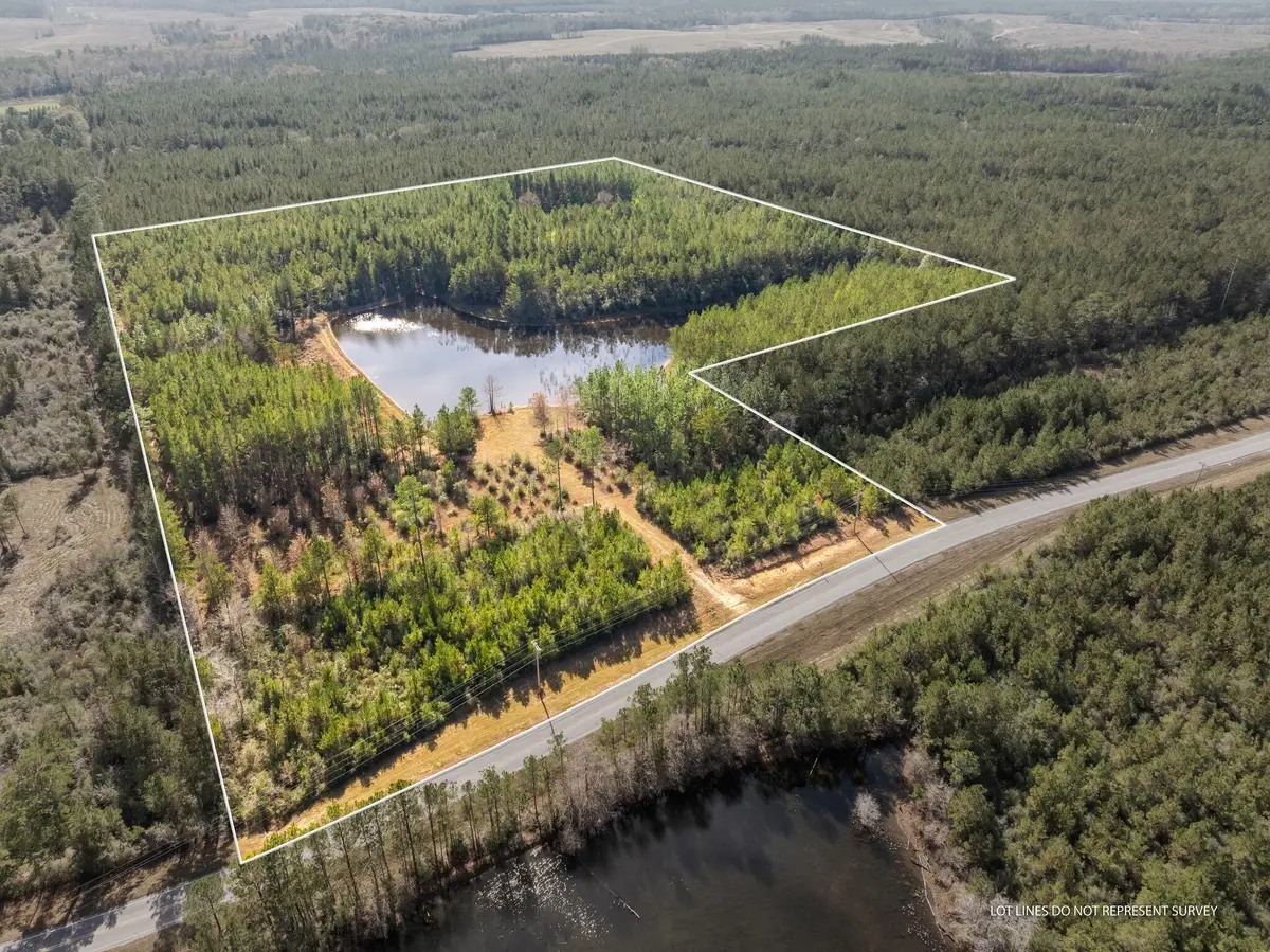 12.41 Acres Lott Town Rd., Sumrall, MS 39482 - #1