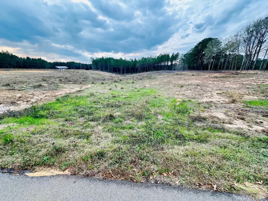 79 Bates Ave., Purvis, MS 39475 - Image #3