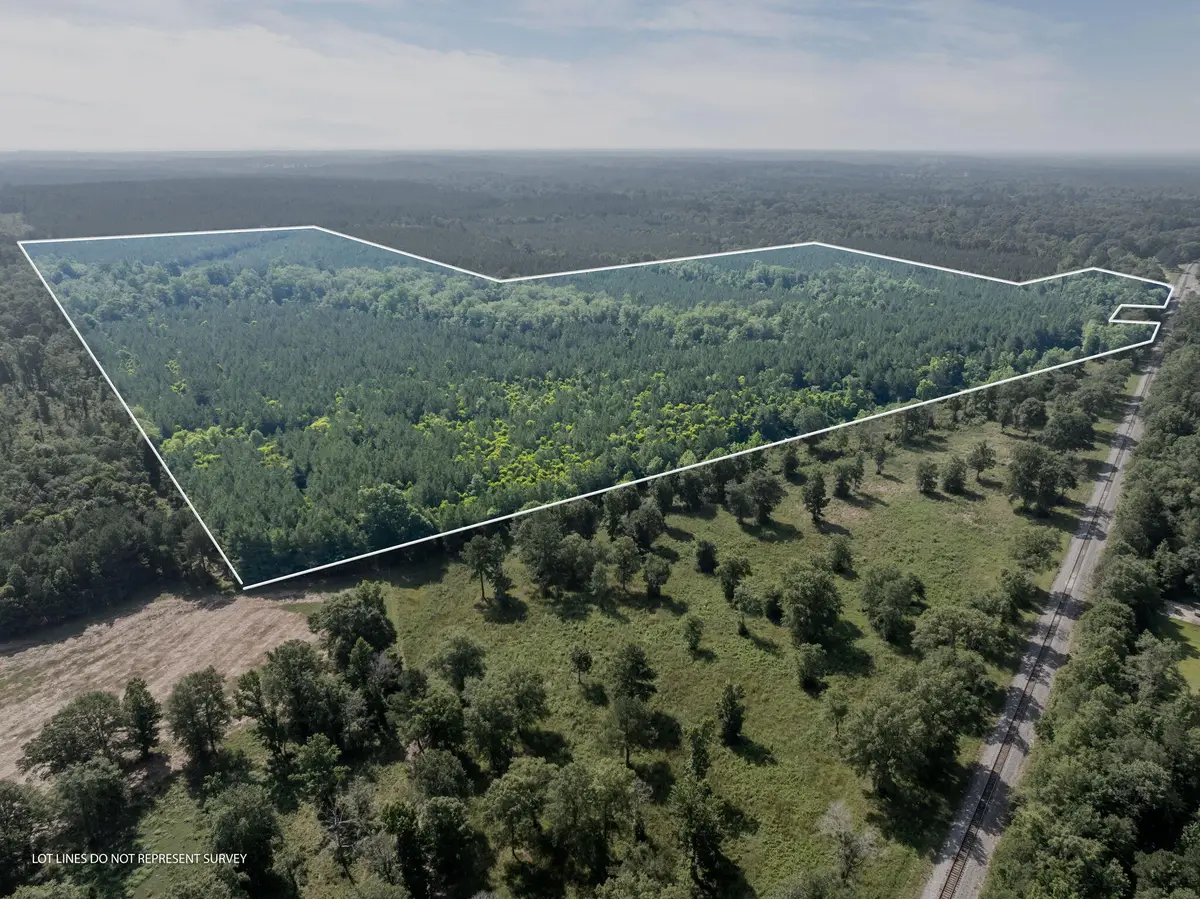 121 Acres Old Hwy 49, Seminary, MS 39429 - Image #1