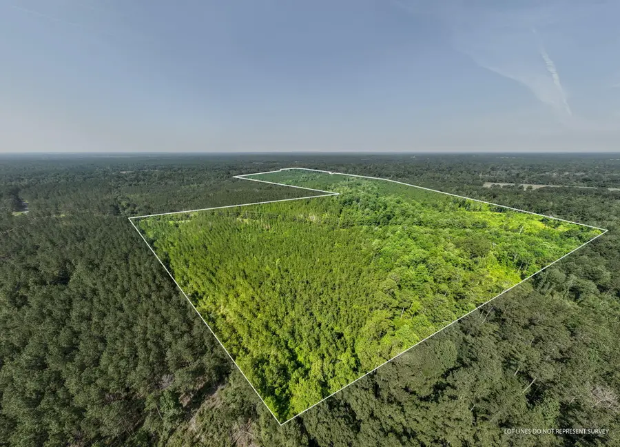 121 Acres Old Hwy 49, Seminary, MS 39429 - Image #2