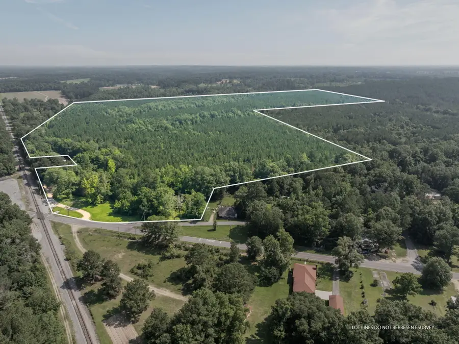 121 Acres Old Hwy 49, Seminary, MS 39429 - Image #3