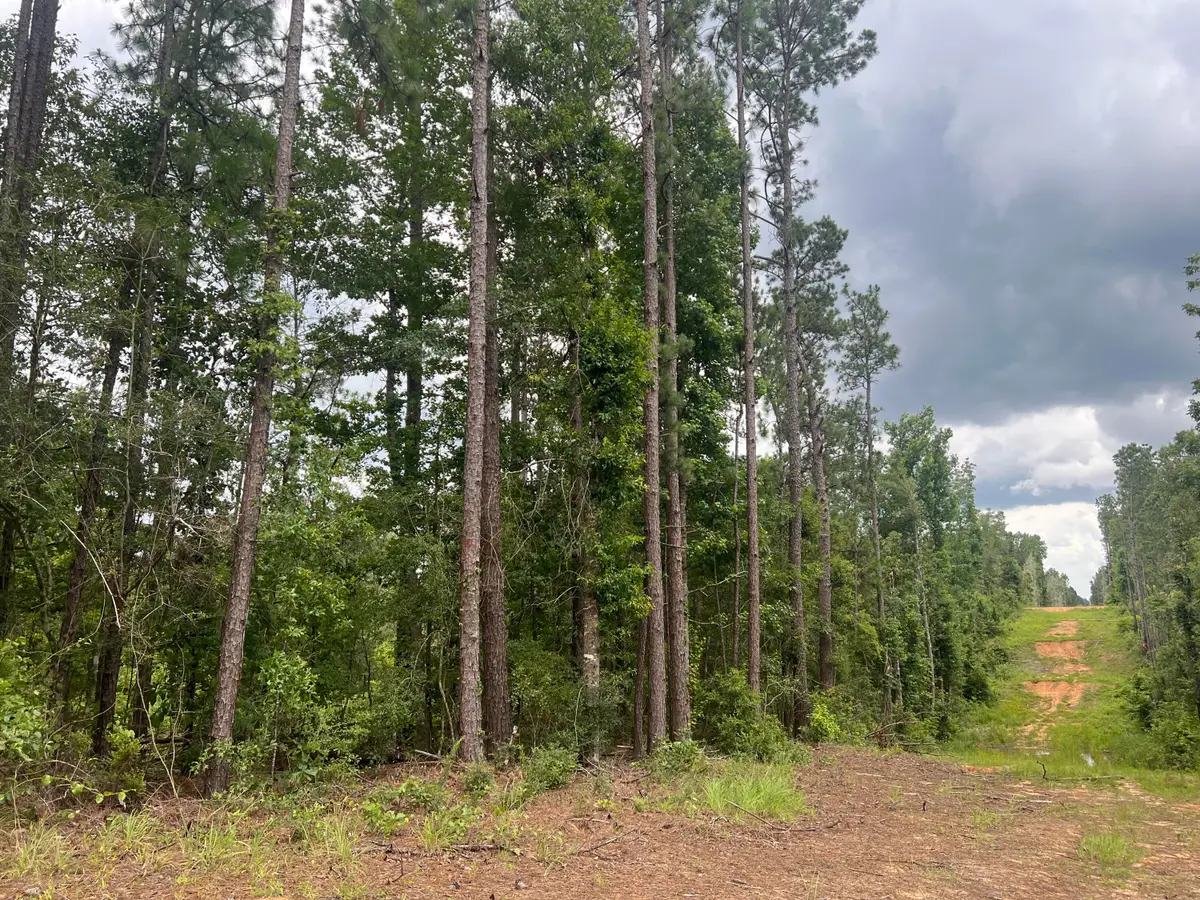 #7 Lawler Rd., Lumberton, MS 39455 - #1
