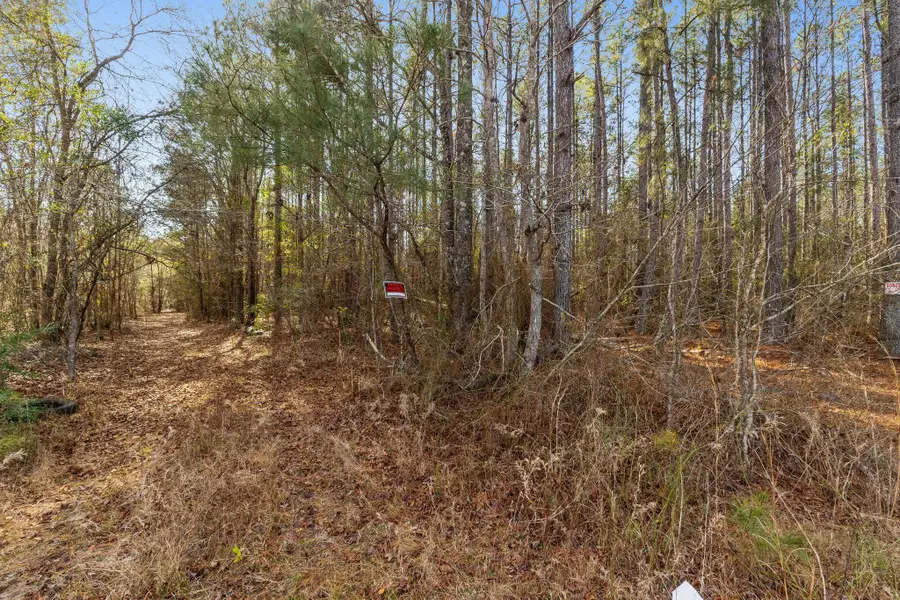 301 Woods Rd, McLain, MS 39456 - #2