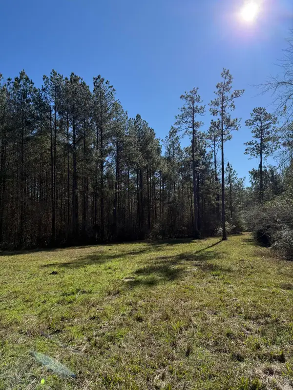 113 +/- Acres Hwy 98, Columbia, MS 39429